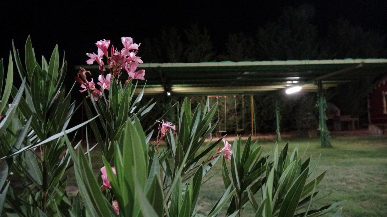 Finca Entrevinedos De Bodegas Marcos Peñafiel Exteriér fotografie