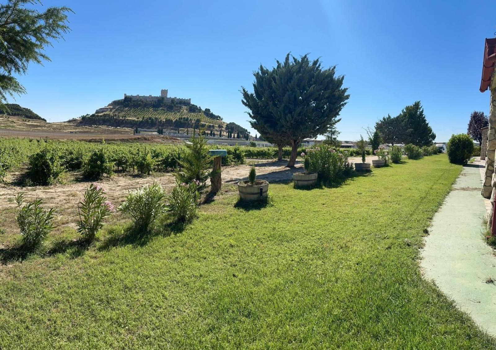 Finca Entrevinedos De Bodegas Marcos Peñafiel Exteriér fotografie